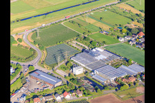 Göppert Garden Center GmbH in the district Bollenbach in Haslach im Kinzigtal in the state Baden-Wuerttemberg, Germany