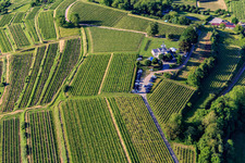 Aerial view of Heubergturm panorama restaurant / to the Heuberg on the vineyard in Ettenheim in the state Baden-Wuerttemberg, Germany