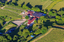 Winery A. Bieselin in Ettenheim in the state Baden-Wuerttemberg, Germany