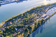Camping Tohapi L'Ile du Rhin on the Rhine Island in Biesheim in the state Haut-Rhin, France