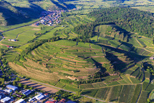 Vineyards on the Kaiserstuhl from the west in the district Achkarren in Vogtsburg im Kaiserstuhl in the state Baden-Wuerttemberg, Germany