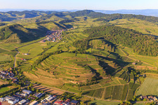 Aerial view of Vineyards on the Kaiserstuhl from the west in the district Achkarren in Vogtsburg im Kaiserstuhl in the state Baden-Wuerttemberg, Germany