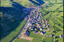 Aerial photograpy of Wine-growing village in the Kaiserstuhl from the southwest in the district Achkarren in Vogtsburg im Kaiserstuhl in the state Baden-Wuerttemberg, Germany