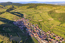 Wine-growing village in the Kaiserstuhl from the west in the district Achkarren in Vogtsburg im Kaiserstuhl in the state Baden-Wuerttemberg, Germany