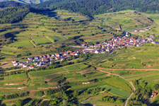Aerial view of Wine-growing village in the Kaiserstuhl from the west in the district Bickensohl in Vogtsburg im Kaiserstuhl in the state Baden-Wuerttemberg, Germany