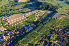 Aerial photograpy of Construction site for the re-leveling of terraced vineyards in the district Oberrotweil in Vogtsburg im Kaiserstuhl in the state Baden-Wuerttemberg, Germany