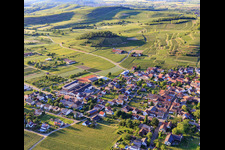 Wine-growing village in the Kaiserstuhl from the southeast in the district Bischoffingen in Vogtsburg im Kaiserstuhl in the state Baden-Wuerttemberg, Germany