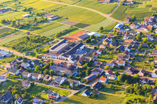 Bischoffinger Winzer eG winery at the tennis court and festival hall Bischoffingen in the district Bischoffingen in Vogtsburg im Kaiserstuhl in the state Baden-Wuerttemberg, Germany