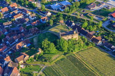 Ruins of the castle Burkheim above the vineyard in the district Burkheim in Vogtsburg im Kaiserstuhl in the state Baden-Wuerttemberg, Germany