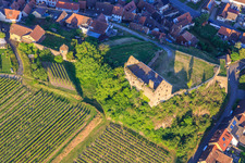 Aerial view of Ruins of the castle Burkheim above the vineyard in the district Burkheim in Vogtsburg im Kaiserstuhl in the state Baden-Wuerttemberg, Germany