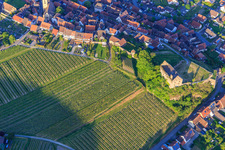 Aerial photograpy of Ruins of the castle Burkheim above the vineyard in the district Burkheim in Vogtsburg im Kaiserstuhl in the state Baden-Wuerttemberg, Germany