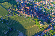 View of the winegrowing village from the southwest with the church of St. Pankratius and the ruins of the castle Burkheim above the vineyard in the district Burkheim in Vogtsburg im Kaiserstuhl in the state Baden-Wuerttemberg, Germany