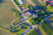 Restaurant Gerhart's Ostriches in the district Jechtingen in Sasbach am Kaiserstuhl in the state Baden-Wuerttemberg, Germany