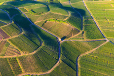 Aerial view of Eichert Chapel in the middle of the vineyards in the district Jechtingen in Sasbach am Kaiserstuhl in the state Baden-Wuerttemberg, Germany