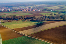 Cow pasture by the railway line in Freckenfeld in the state Rhineland-Palatinate, Germany