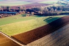 Aerial view of Cow pasture by the railway line in Freckenfeld in the state Rhineland-Palatinate, Germany