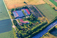Schönung family poultry farm in Erlenbach bei Kandel in the state Rhineland-Palatinate, Germany