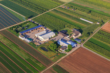 Farmer's Garden in Winden in the state Rhineland-Palatinate, Germany from the drone perspective