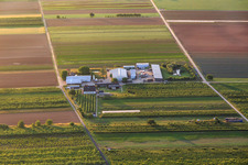 Farmer's Garden in Winden in the state Rhineland-Palatinate, Germany seen from a drone