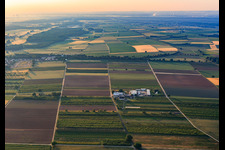Aerial view of Farmer's Garden in Winden in the state Rhineland-Palatinate, Germany