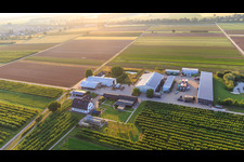 Farmer's Garden in Winden in the state Rhineland-Palatinate, Germany from above