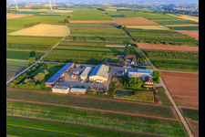 Farmer's Garden in Winden in the state Rhineland-Palatinate, Germany seen from above