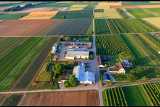 Bird's eye view of Farmer's Garden in Winden in the state Rhineland-Palatinate, Germany