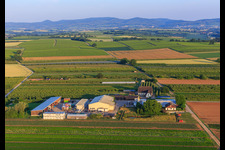 Drone recording of Farmer's Garden in Winden in the state Rhineland-Palatinate, Germany