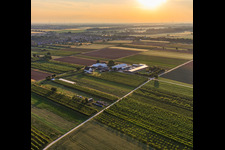 Farmer's Garden in Winden in the state Rhineland-Palatinate, Germany from a drone