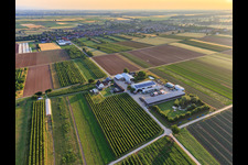 Farmer's Garden in Winden in the state Rhineland-Palatinate, Germany seen from a drone