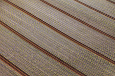 Fields with lettuce seedlings in Minfeld in the state Rhineland-Palatinate, Germany