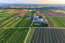 Farmer's Garden in Winden in the state Rhineland-Palatinate, Germany seen from above