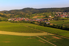 Wine town from the east in the district Gleishorbach in Gleiszellen-Gleishorbach in the state Rhineland-Palatinate, Germany