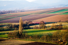 Regional train in the district Drusweiler in Oberhausen in the state Rhineland-Palatinate, Germany