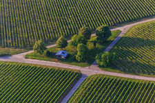 Barbecue hut in the vineyards in the district Klingen in Heuchelheim-Klingen in the state Rhineland-Palatinate, Germany