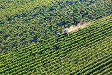 Aerial view of Spray mist from pesticides in the vineyard in the district Ingenheim in Billigheim-Ingenheim in the state Rhineland-Palatinate, Germany