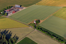 St. Mary's Chapel in Bösingen in the state Baden-Wuerttemberg, Germany