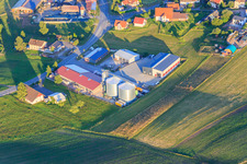 Black Forest Briquettes best:Pellets and all about coffee Rainer Scheck GmbH & Co. KG in the district Weiler in Königsfeld im Schwarzwald in the state Baden-Wuerttemberg, Germany