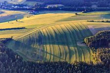 Mowed meadows in the Black Forest in the evening in Niedereschach in the state Baden-Wuerttemberg, Germany