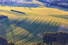 Aerial photograpy of Mowed meadows in the Black Forest in the evening in Niedereschach in the state Baden-Wuerttemberg, Germany