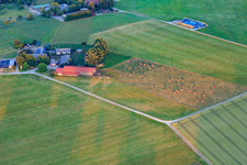 Cattle pasture at the sheep farm in the district Lindenhof in Oberndorf am Neckar in the state Baden-Wuerttemberg, Germany