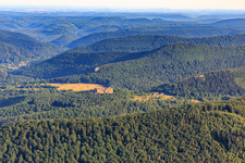 Oblique view of Château Fort de Fleckenstein in Lembach in the state Bas-Rhin, France