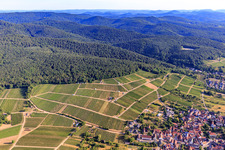 Aerial view of Tasting stands in the vineyard for "Grenzenlos Wein" (Wine Without Borders). A German-French wine event featuring wines from our winemakers and neighboring Alsace, as well as local delicacies high above the village, with a magnificent view over the Rhine plain and into neighboring Wissembourg. in the district Schweigen in Schweigen-Rechtenbach in the state Rhineland-Palatinate, Germany