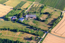 HEIDEBRUNNENHOF Purebred Arabian and Icelandic Horse Breeding in Oberotterbach in the state Rhineland-Palatinate, Germany