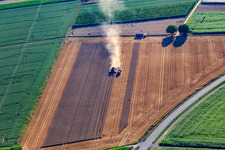 Grain harvest with combine harvester in action in Minfeld in the state Rhineland-Palatinate, Germany