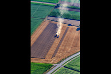 Aerial view of Grain harvest with combine harvester in action in Minfeld in the state Rhineland-Palatinate, Germany