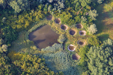 Réserve biologique dirigée de Lauterbourg in Lauterbourg in the state Bas-Rhin, France
