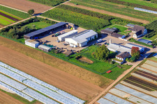 Farmer's Garden in Winden in the state Rhineland-Palatinate, Germany from the plane