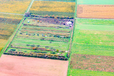Klaus Meyer's fruit plantation in the district Mühlhofen in Billigheim-Ingenheim in the state Rhineland-Palatinate, Germany