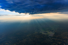 Bienwald in backlight in the district Büchelberg in Wörth am Rhein in the state Rhineland-Palatinate, Germany